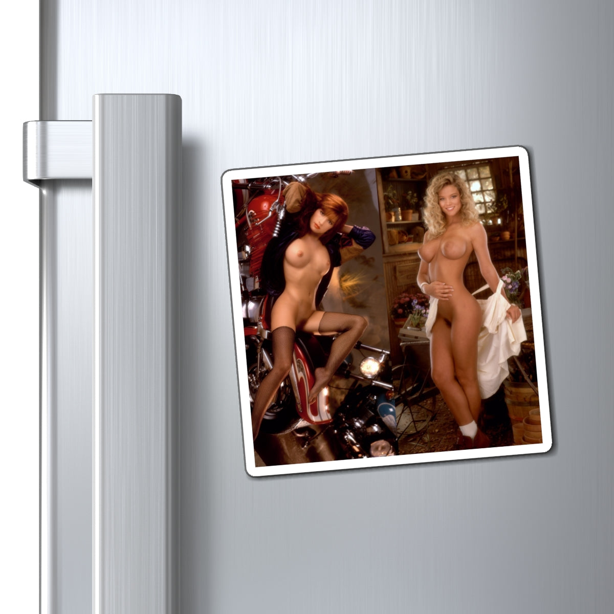 Magnets Playboy Playmates 1992 March April