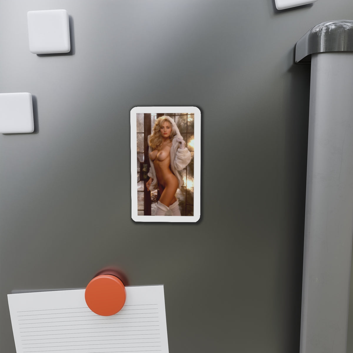 Die-Cut Magnets Playboy Playmate January 1992 Suzi Simpson