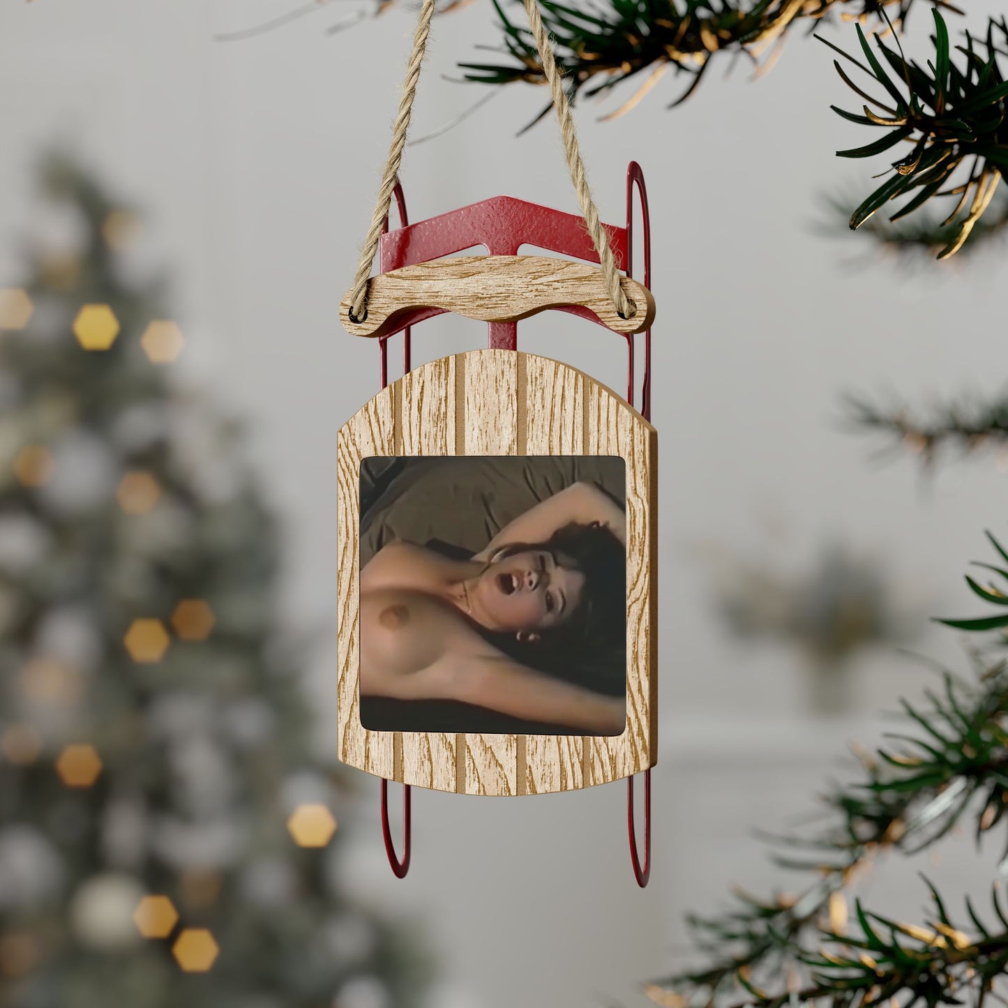 Sled Ornaments Traci Lords Nude Retro Porn Star