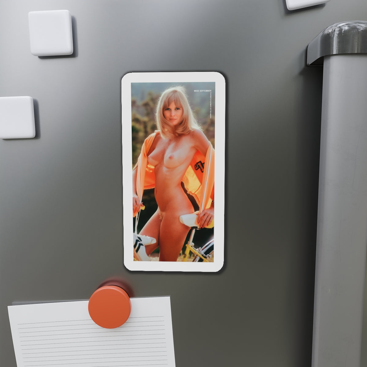 Die-Cut Magnets Playboy Playmate September 1973 Geri Glass
