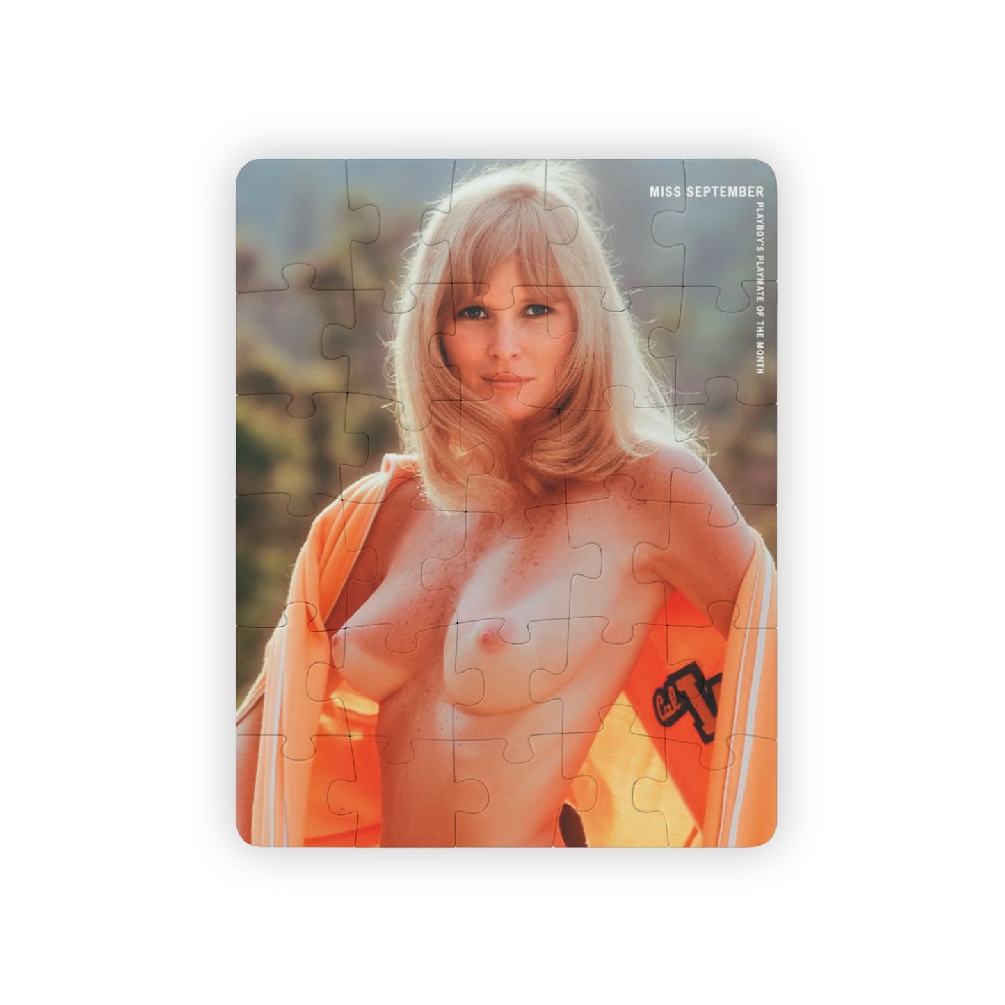 Puzzle, 30-Piece Playboy Playmate September 1973 Geri Glass