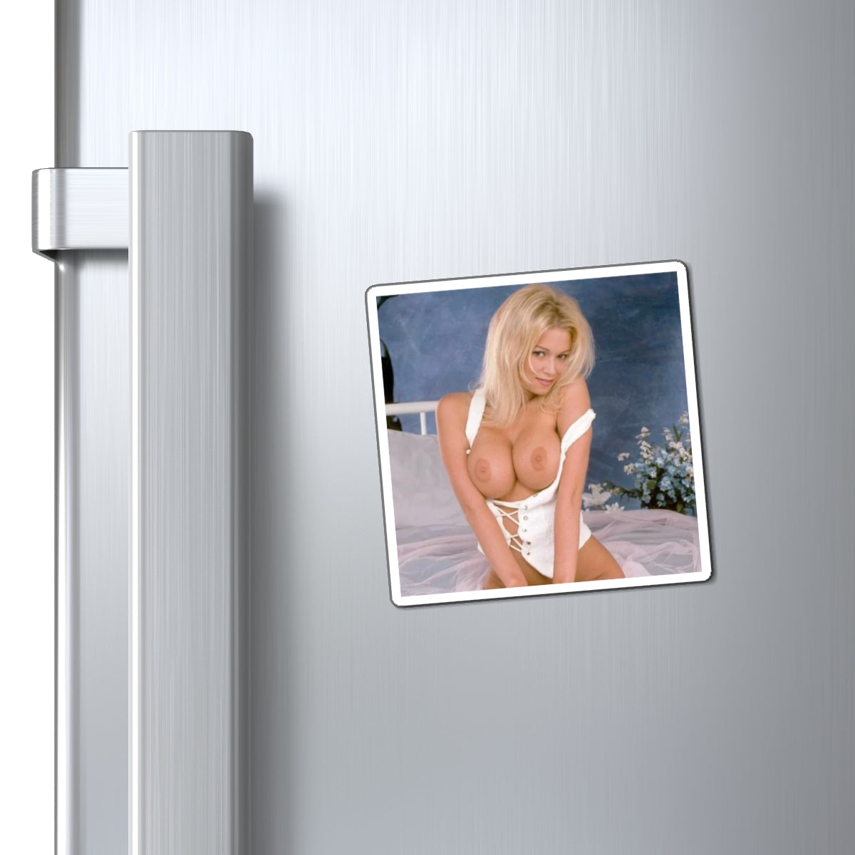Magnets Pornstar Jenna Jameson Nude
