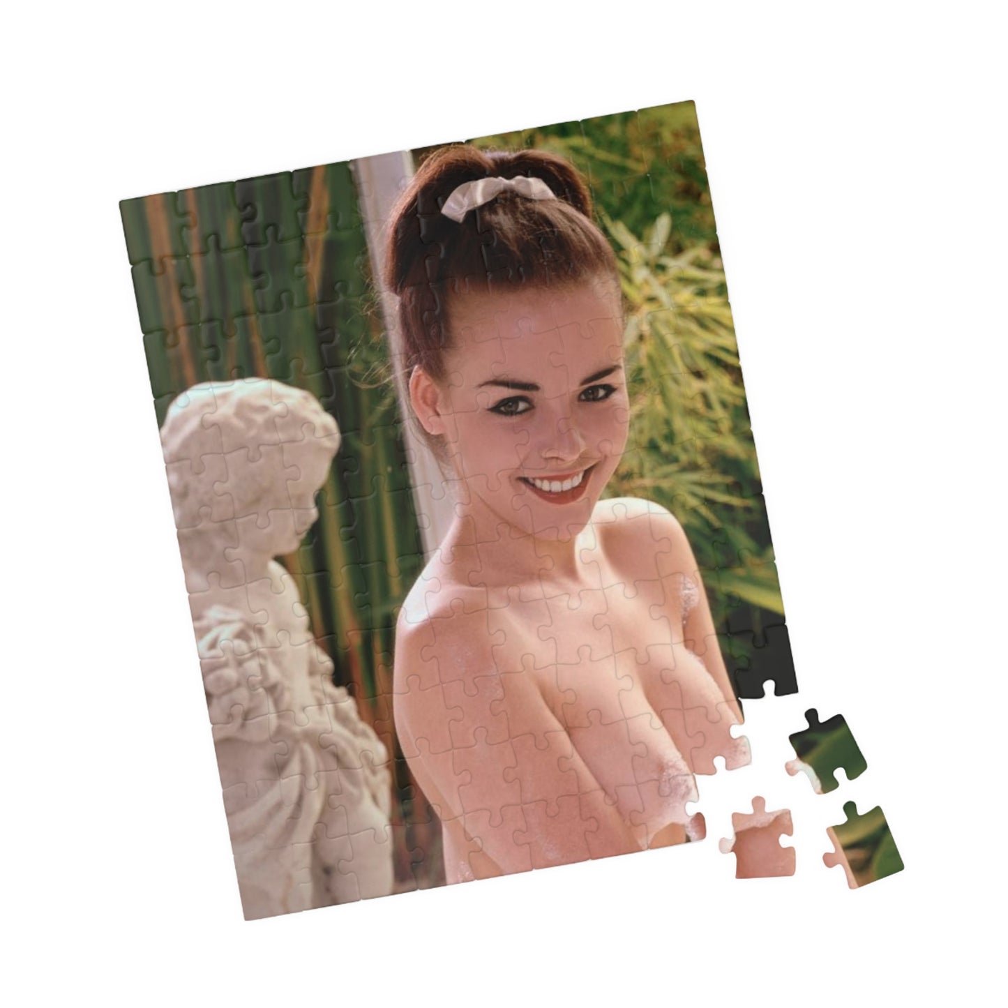 Puzzle (110, 252, 500, 1014-piece) Playboy Playmate January 1963 Judi Monterey