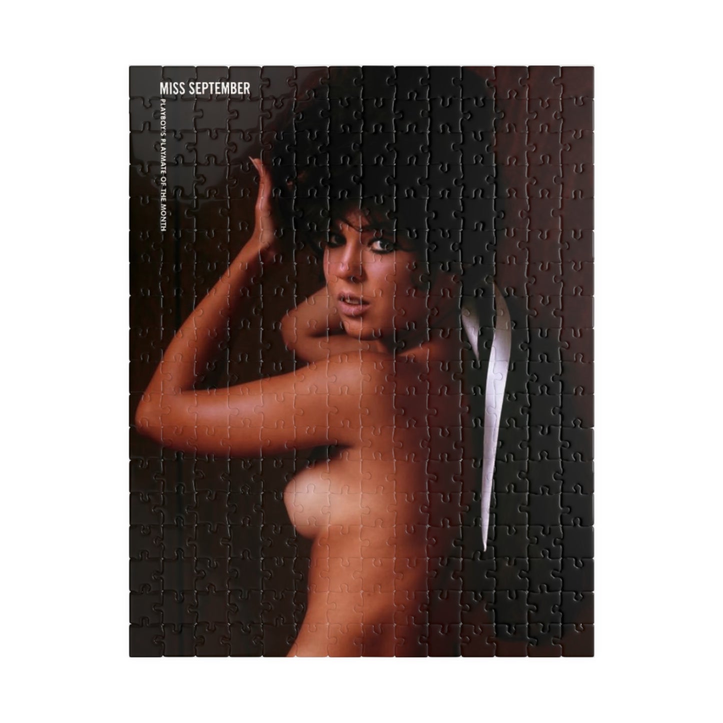 Puzzle (110, 252, 500, 1014-piece) Playboy Playmate Sept 1965 Patti Reynolds