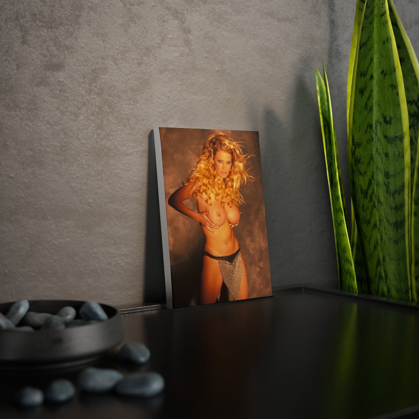Canvas Photo Tile Pornstar Jenna Jameson Nude
