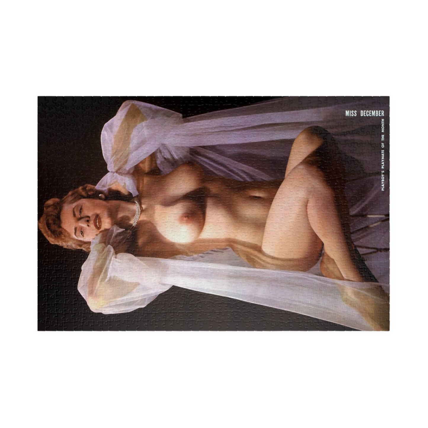 Puzzle (110, 252, 500, 1014-piece) Playboy Playmate Dec 1954 Terry Ryan