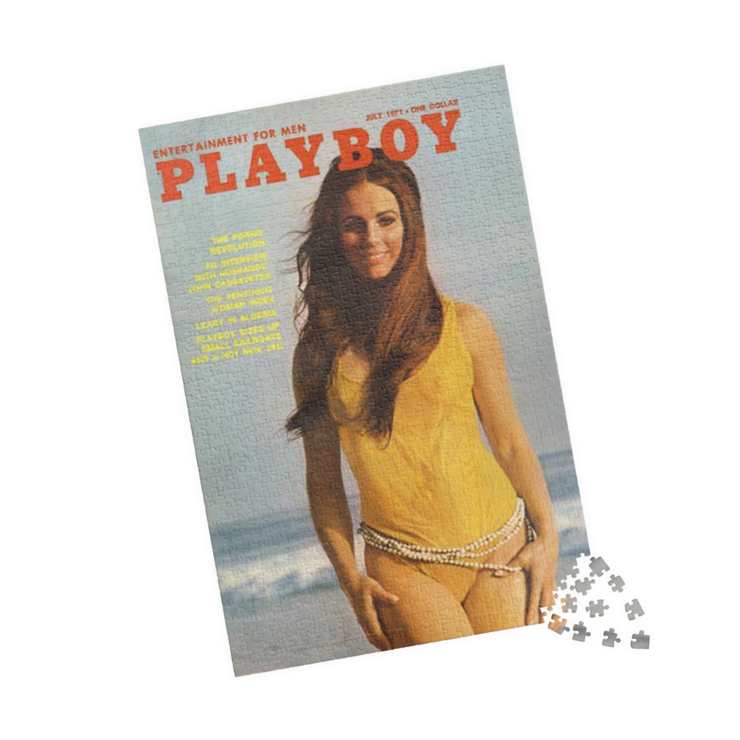 Puzzle (110, 252, 500, 1014-piece) Playboy Cover July 1971