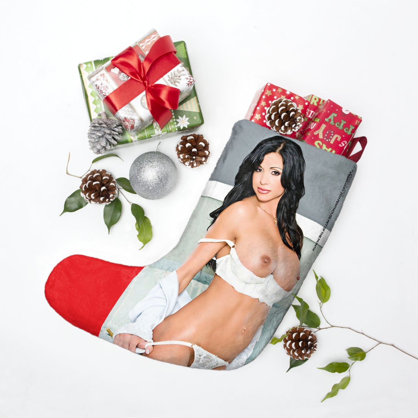 Christmas Stockings Penthouse Pet February 2011 Jewels Jade
