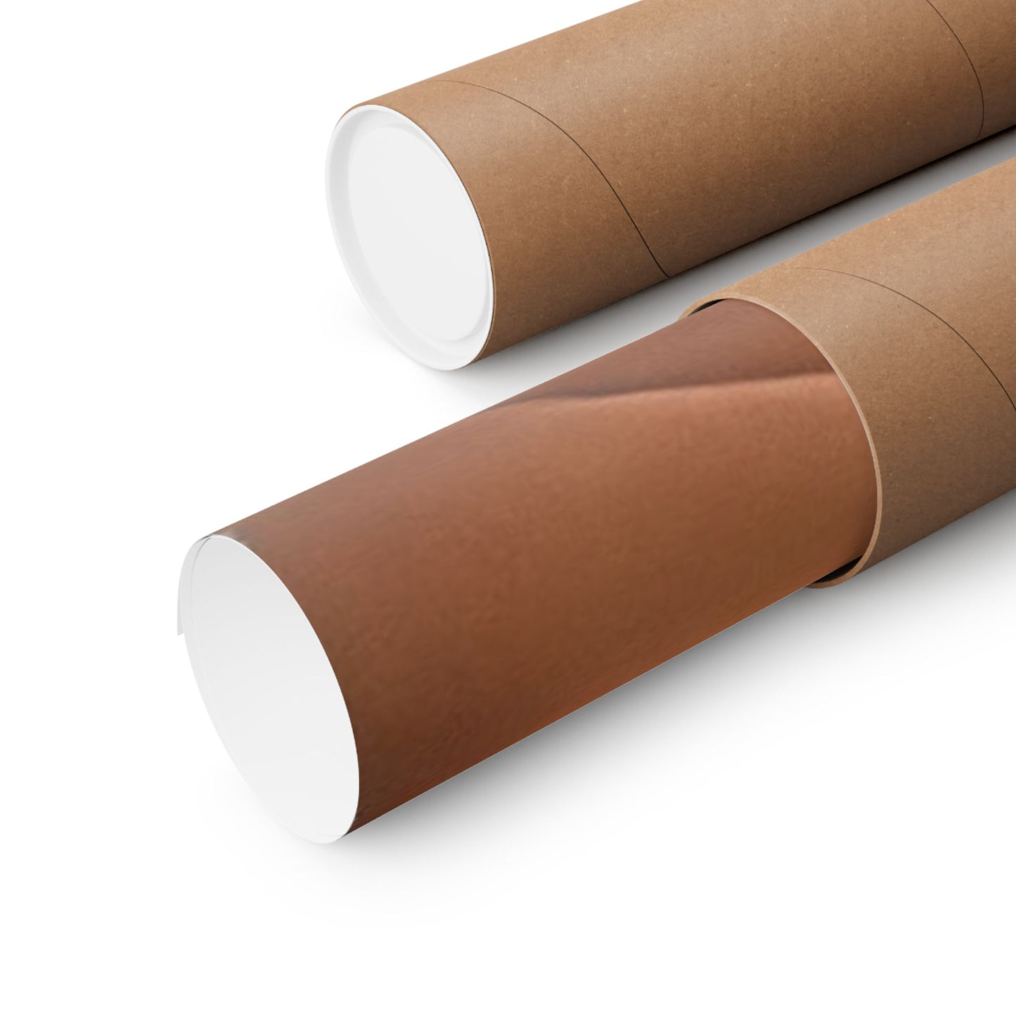 Matte Vertical Posters Anna Nicole Smith Nude