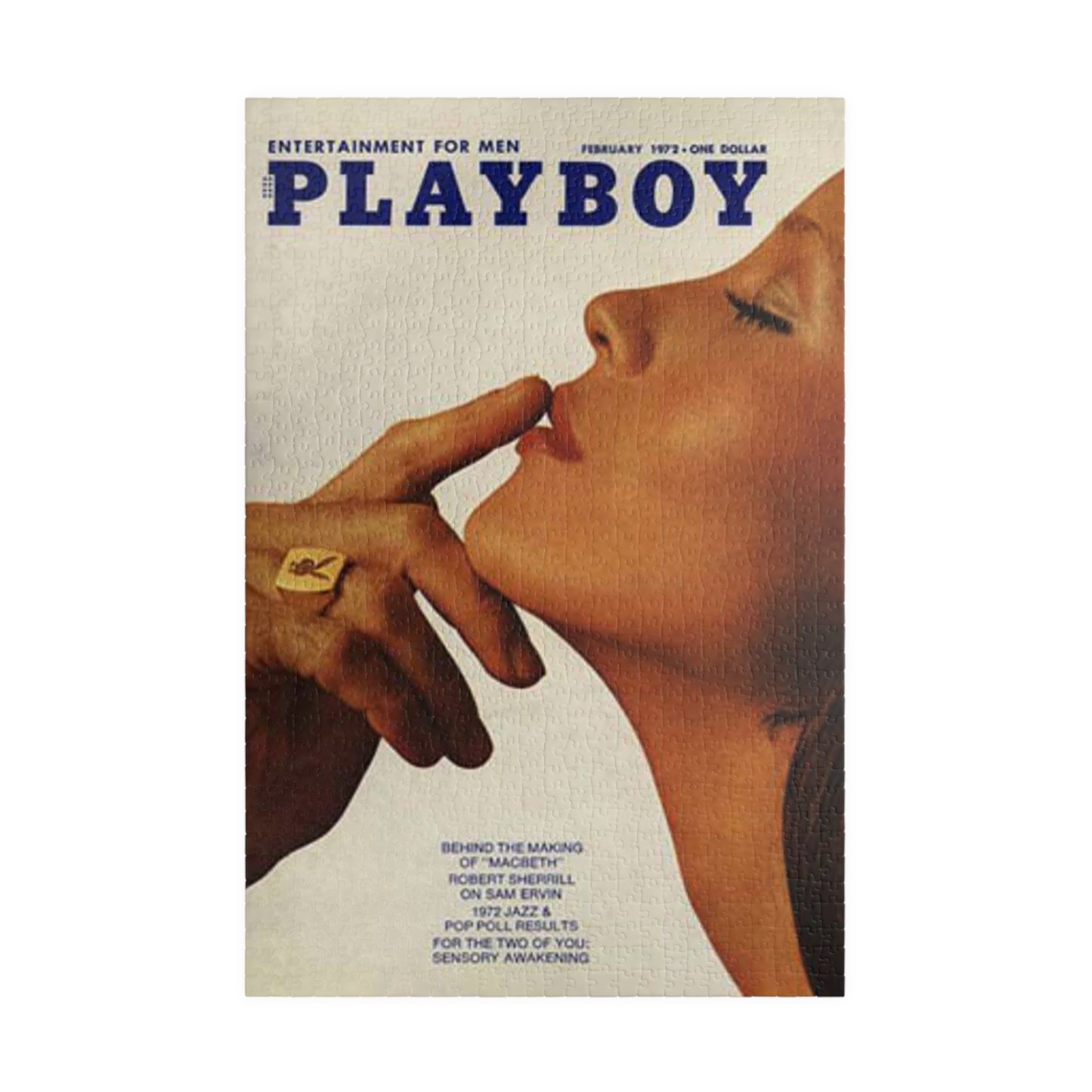 Puzzle (110, 252, 500, 1014-piece) Playboy Cover February 1972