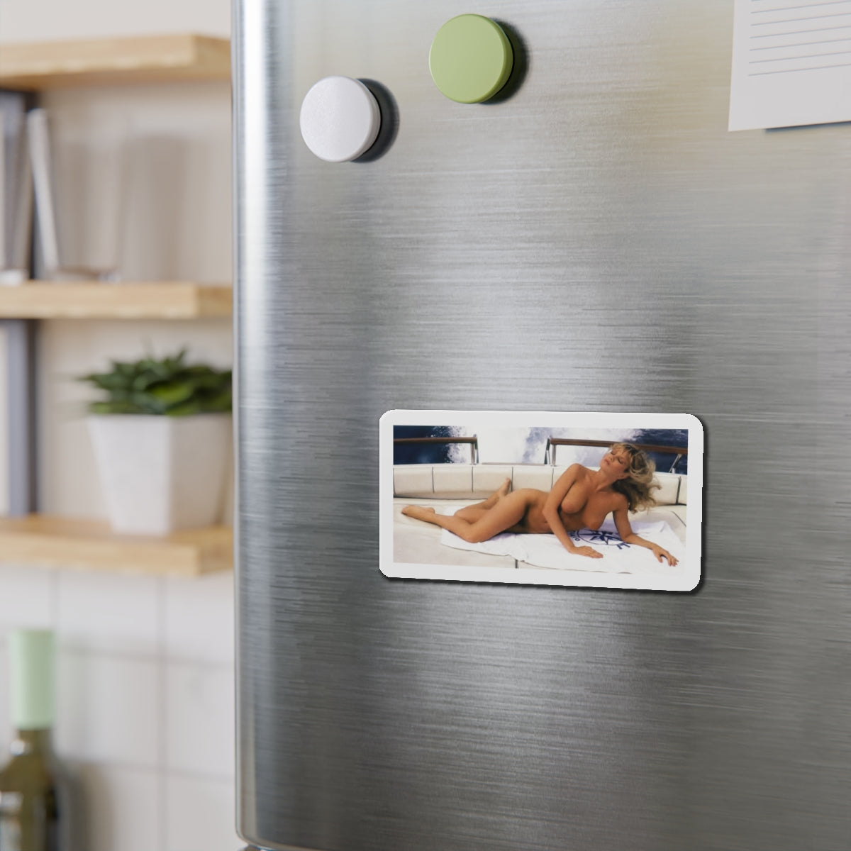Die-Cut Magnets Traci Lords Nude