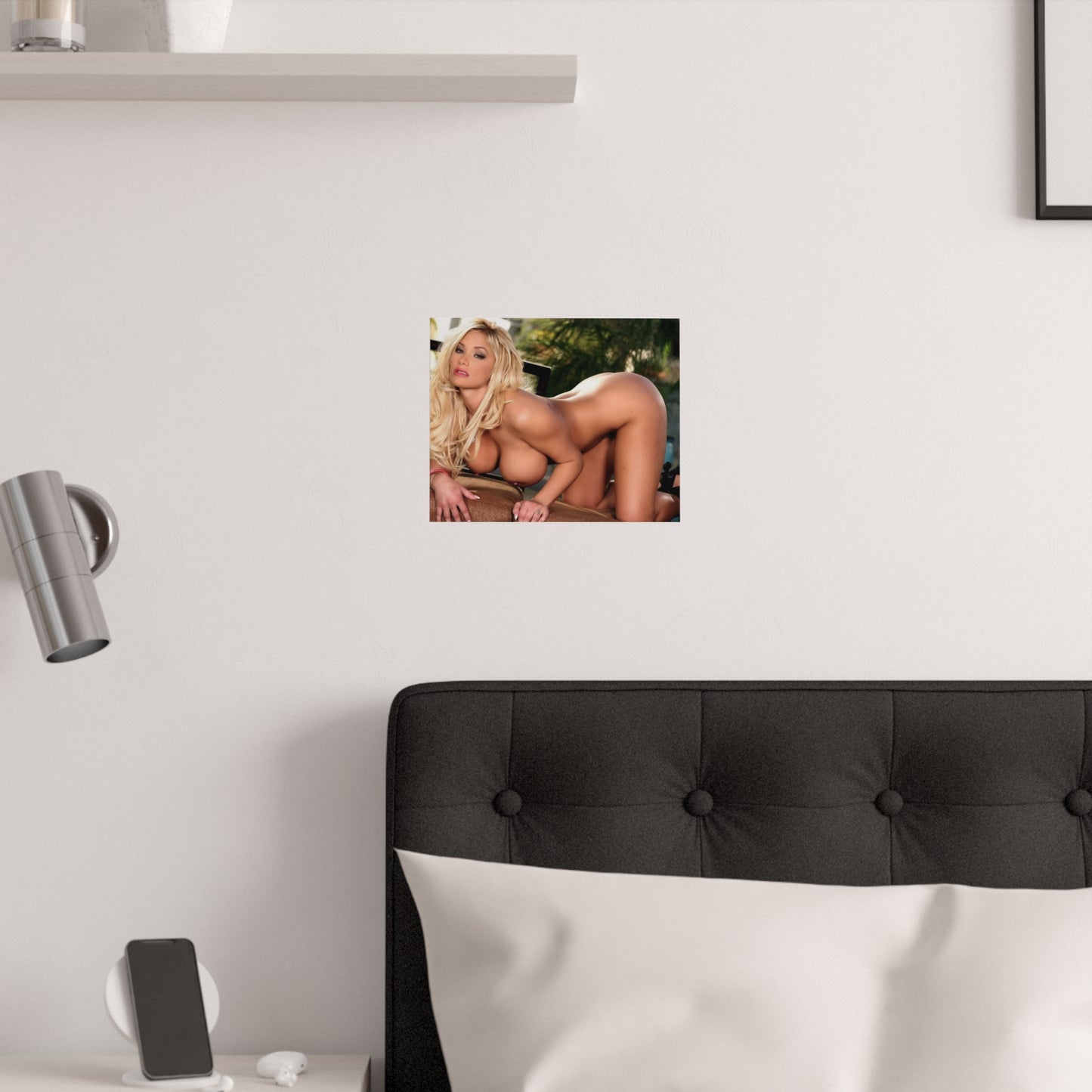 Satin Posters (210gsm) Pornstar Shyla Stylez Nude