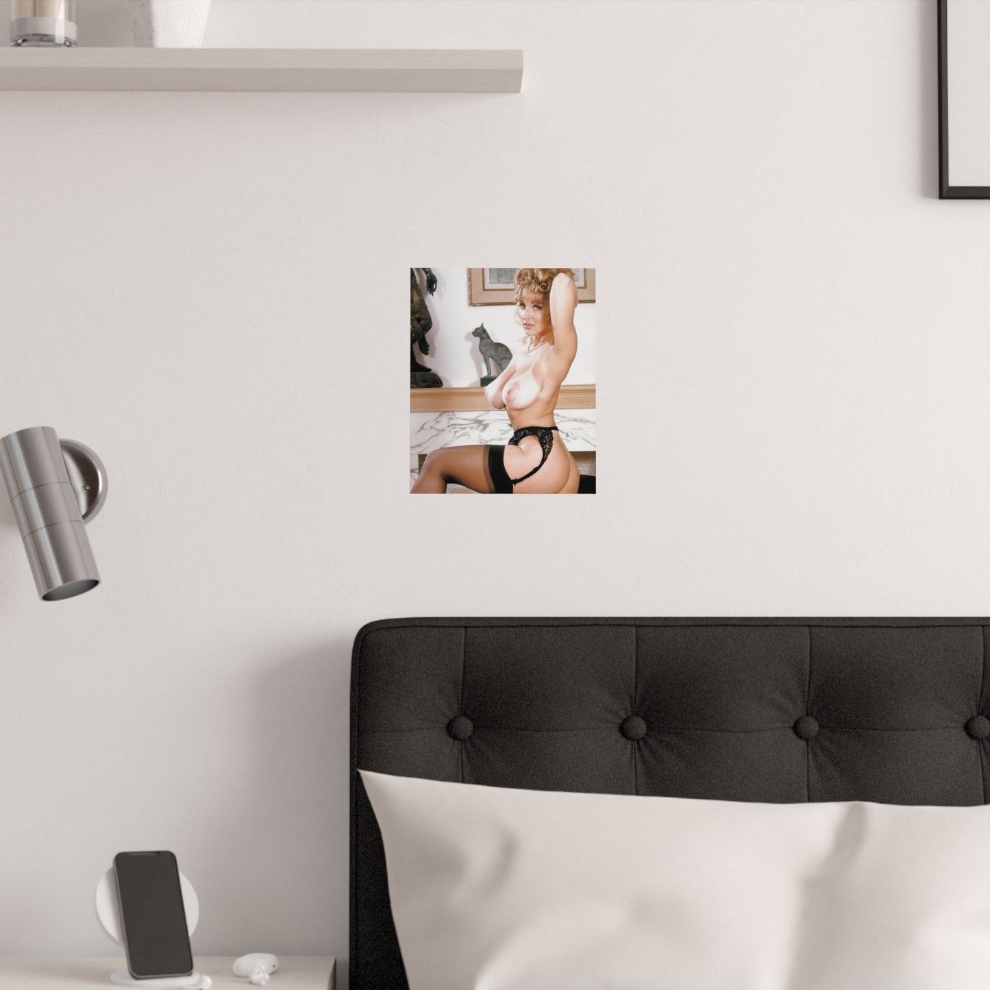 Satin Posters (210gsm) Retro Adult Star Danni Ashe Nude