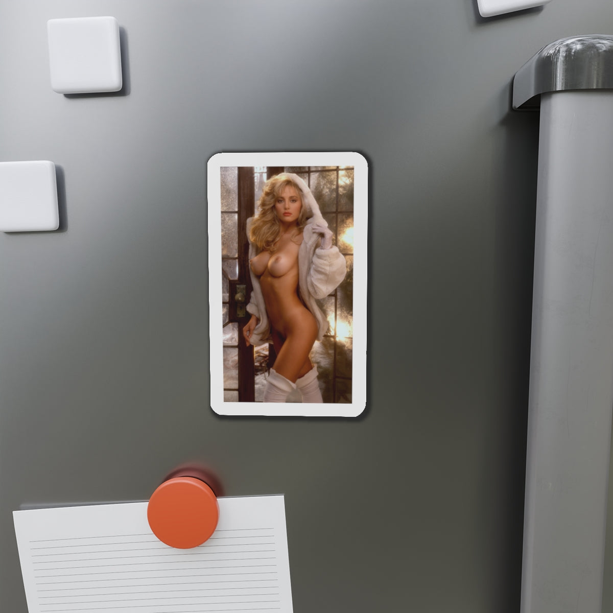Die-Cut Magnets Playboy Playmate January 1992 Suzi Simpson