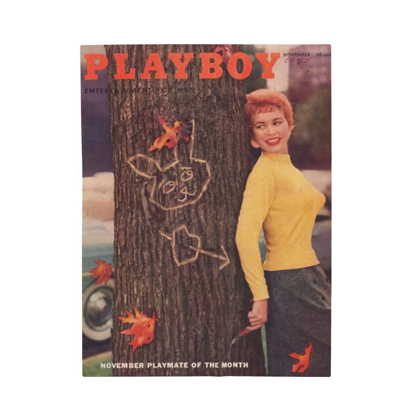 Velveteen Plush Blanket Magazine Cover November 1955