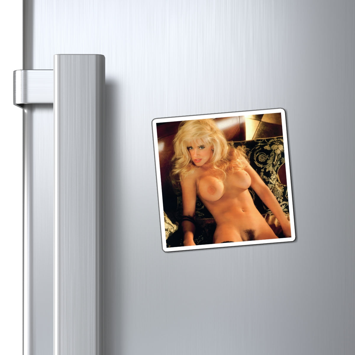 Magnets Playboy Playmate October 1993 Jenny McCarthy