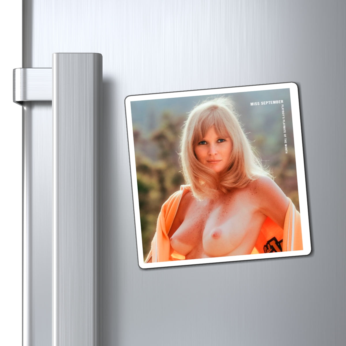 Magnets Playboy Playmate September 1973 Geri Glass