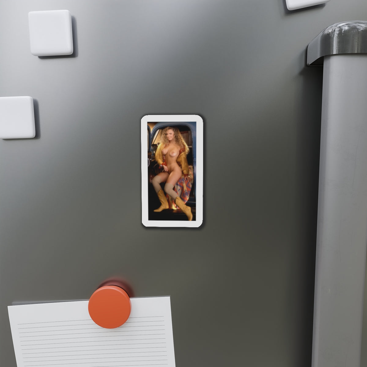 Die-Cut Magnets Playboy Playmate April 1993 Nicole Wood