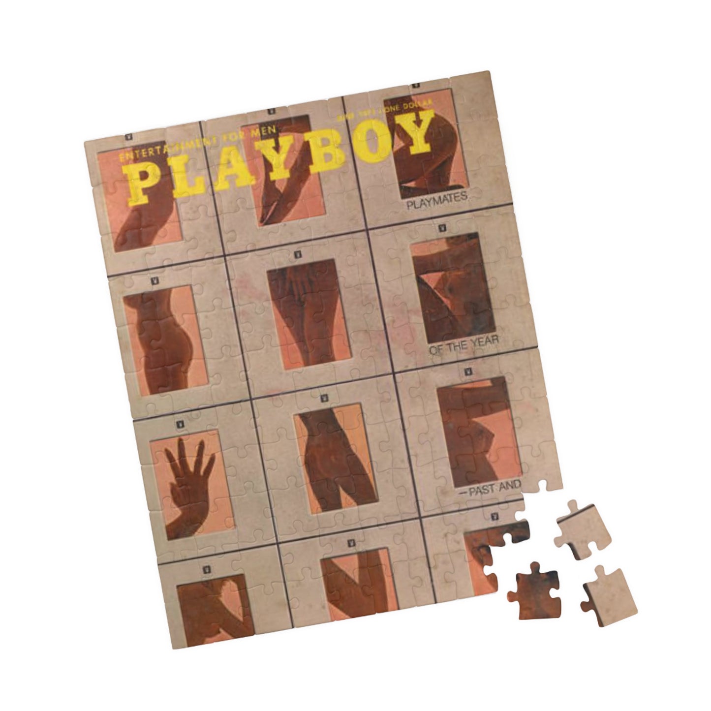 Puzzle (110, 252, 500, 1014-piece) Playboy Cover June 1971