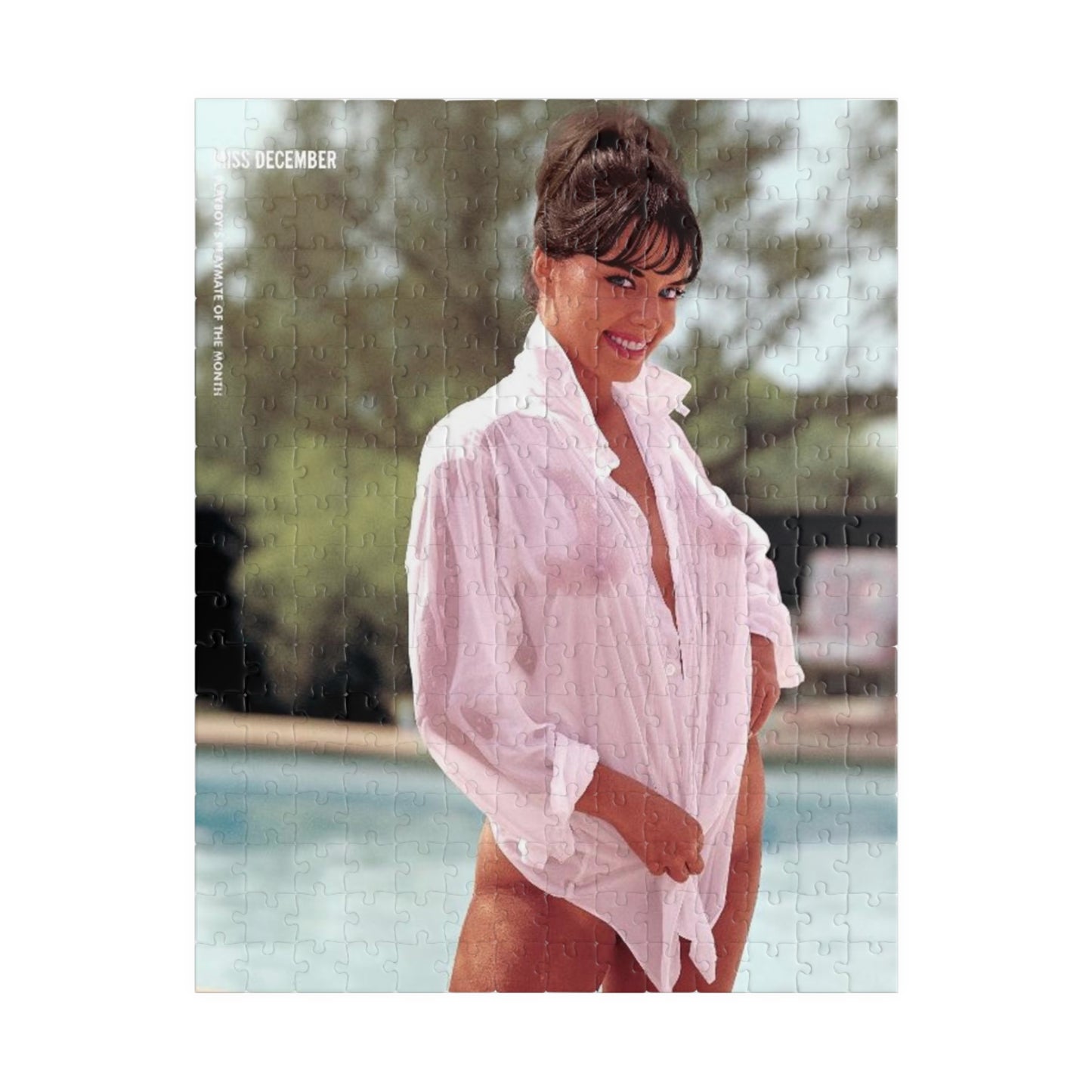 Puzzle (110, 252, 500, 1014-piece) Playboy Playmate December 1964 Jo Collins