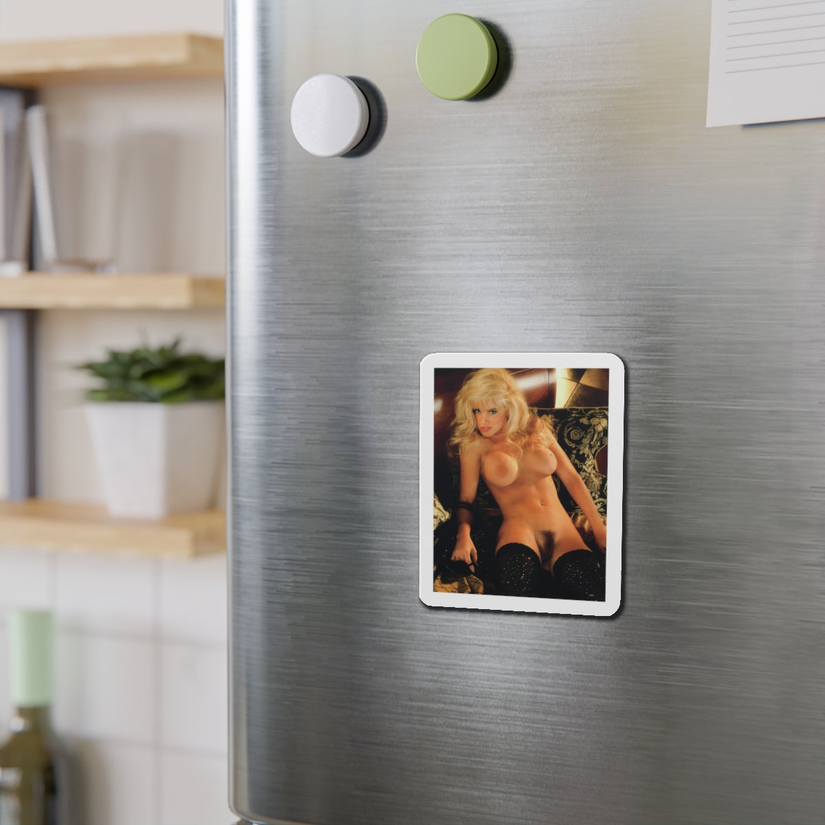 Die-Cut Magnets Playboy Playmate October 1993 Jenny McCarthy