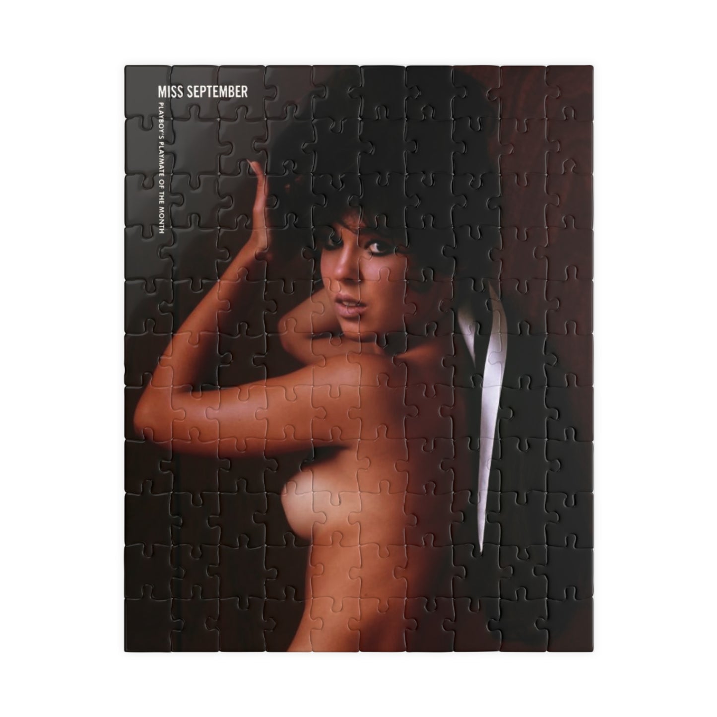 Puzzle (110, 252, 500, 1014-piece) Playboy Playmate Sept 1965 Patti Reynolds