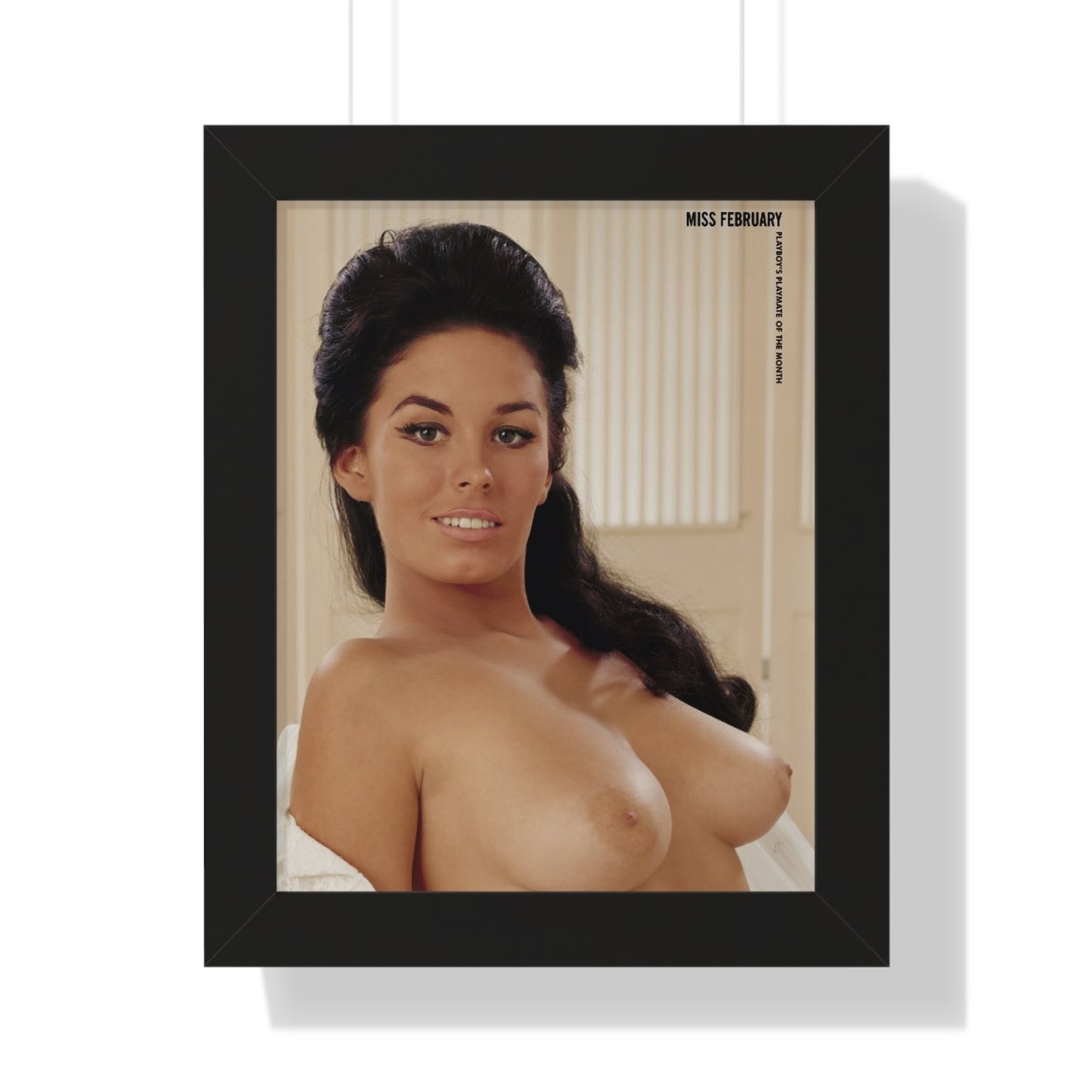 Framed Vertical Poster Playboy Playmate February 1965 Jessica St. George