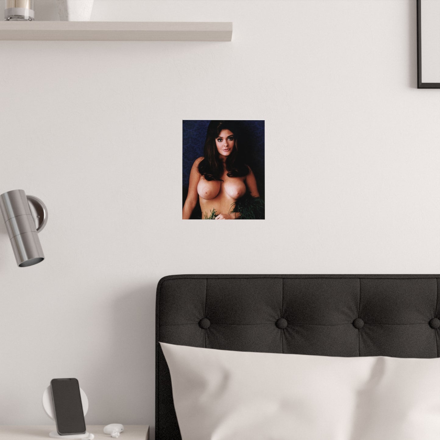 Satin Posters (210gsm) Playboy Playmate Cynthia Myers Nude