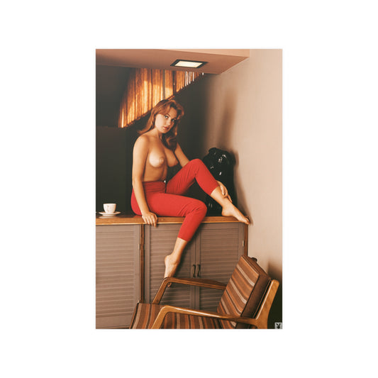 Satin Posters (210gsm) Playmate July 1960 Teddi Smith nude #4