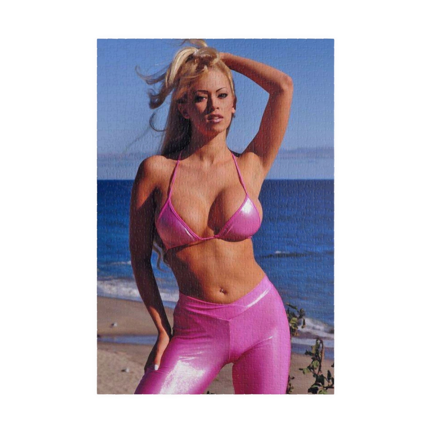 Puzzle (110, 252, 520, 1014-piece) Jenna Jameson Bikini
