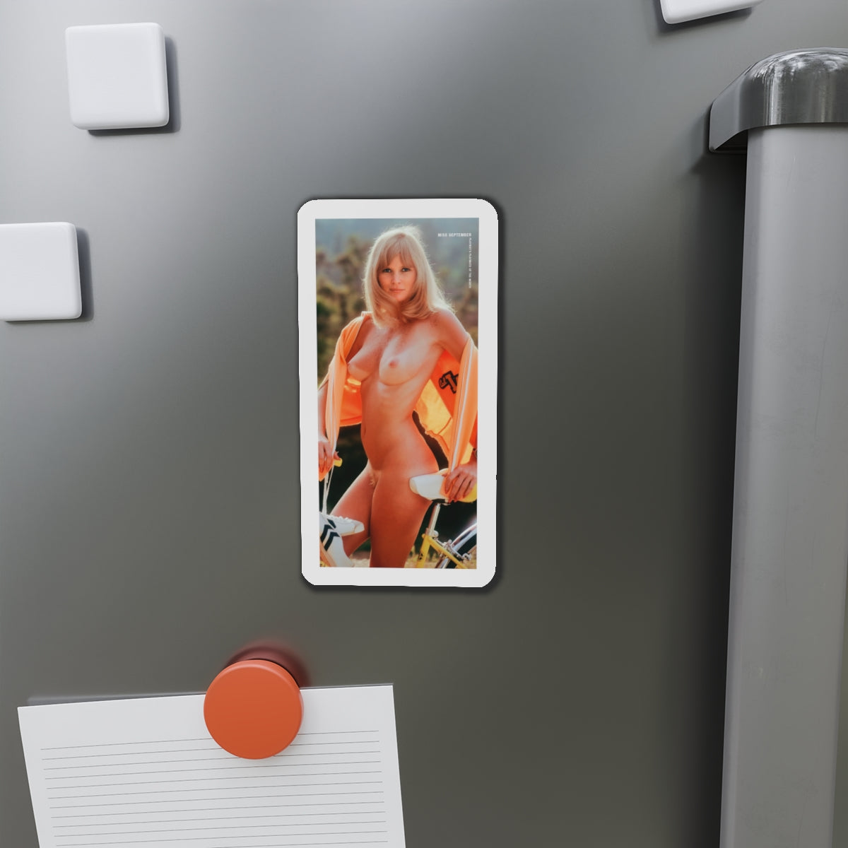 Die-Cut Magnets Playboy Playmate September 1973 Geri Glass