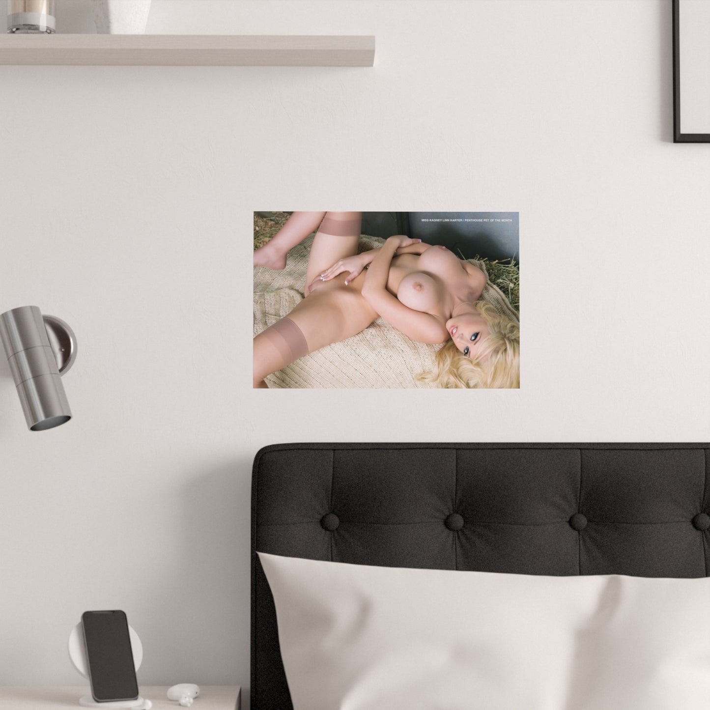 Satin Posters (210gsm) Penthouse Pet June 2009 Kagney Linn Karter