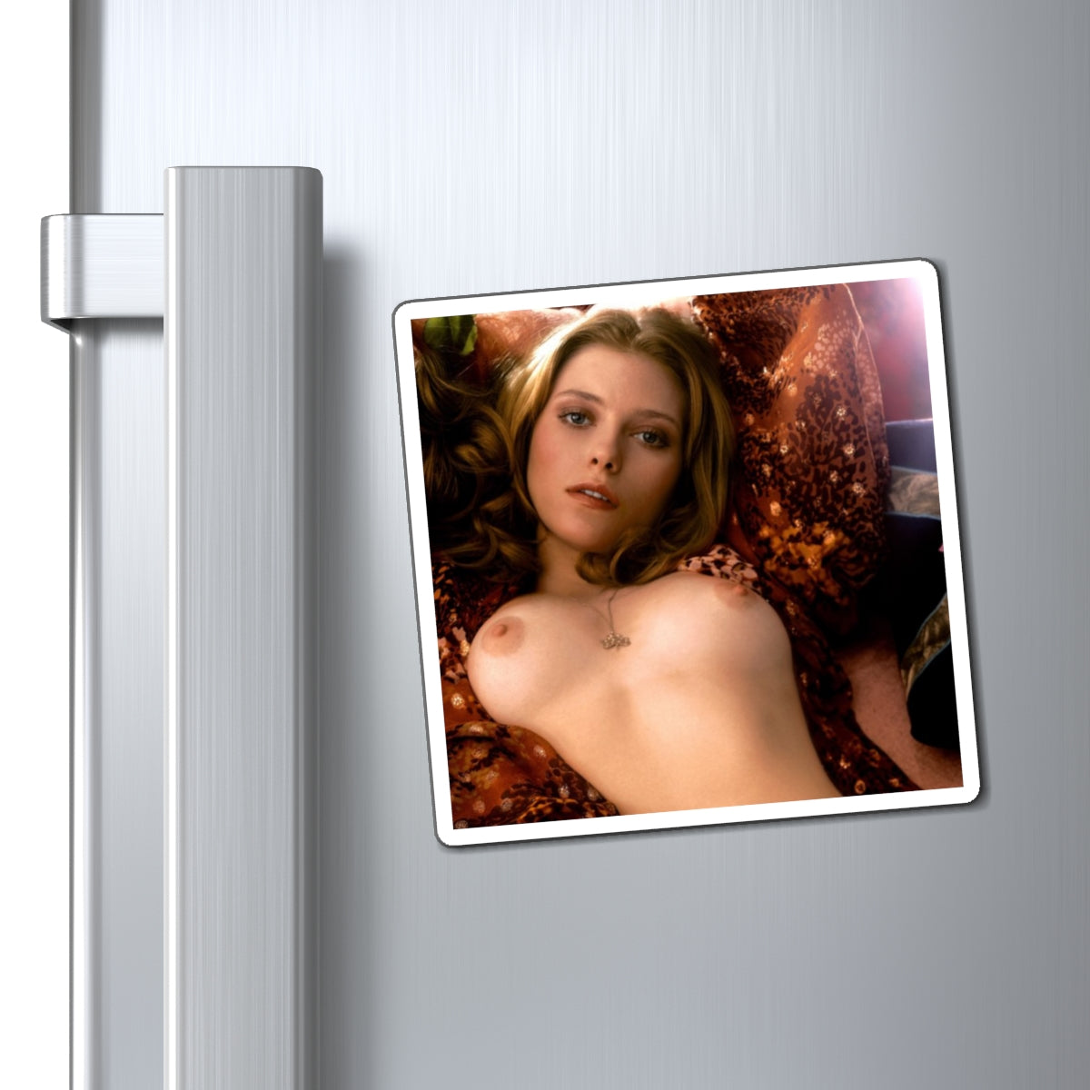 Magnets Playboy Playmate November 1974 Bebe Buell