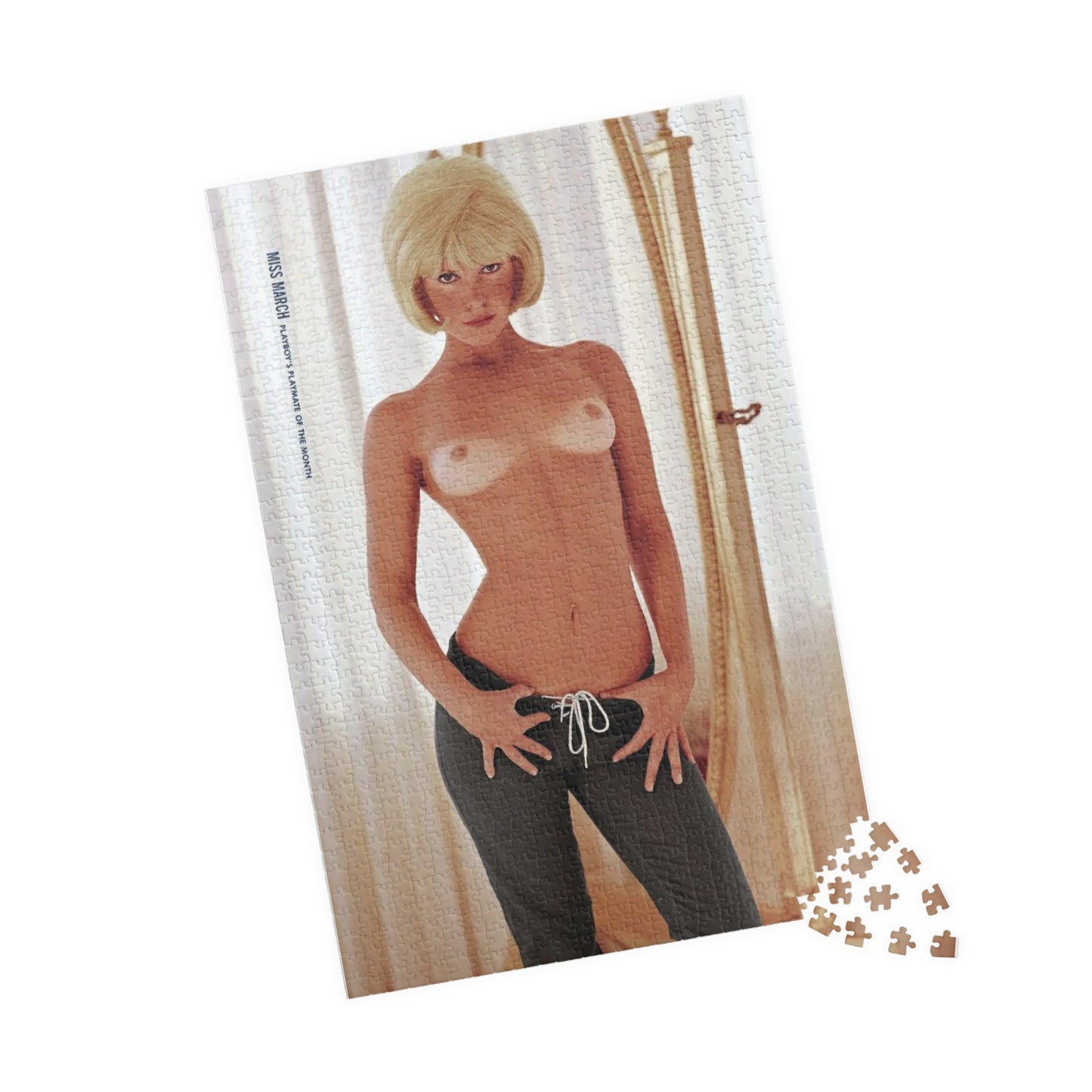 Puzzle (110, 252, 500, 1014-piece) Playboy Playmate March 1966 Priscilla Wright