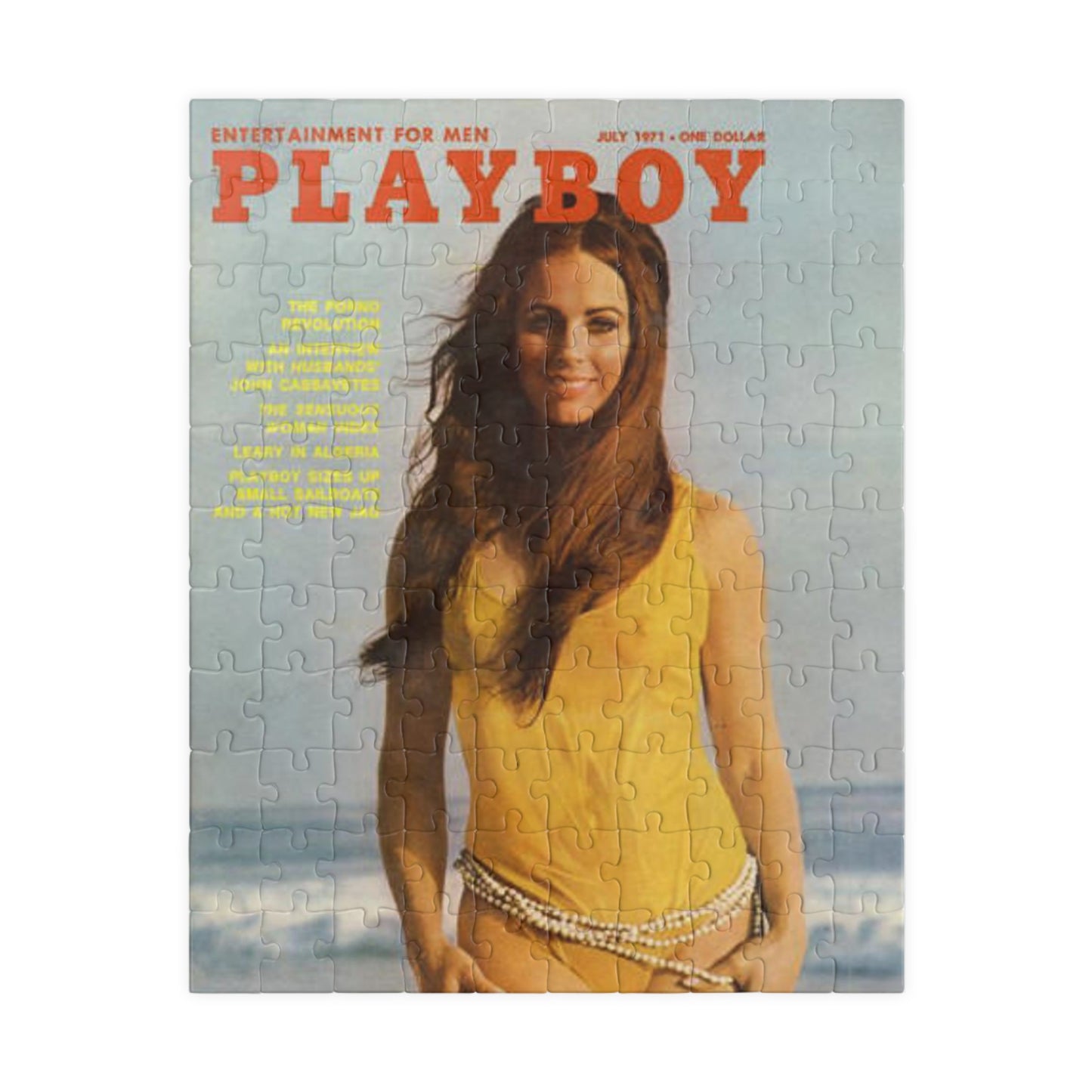 Puzzle (110, 252, 500, 1014-piece) Playboy Cover July 1971