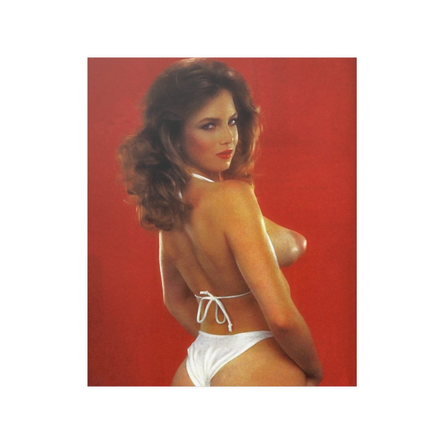 Satin Posters (210gsm) Retro Adult Star 1980s
