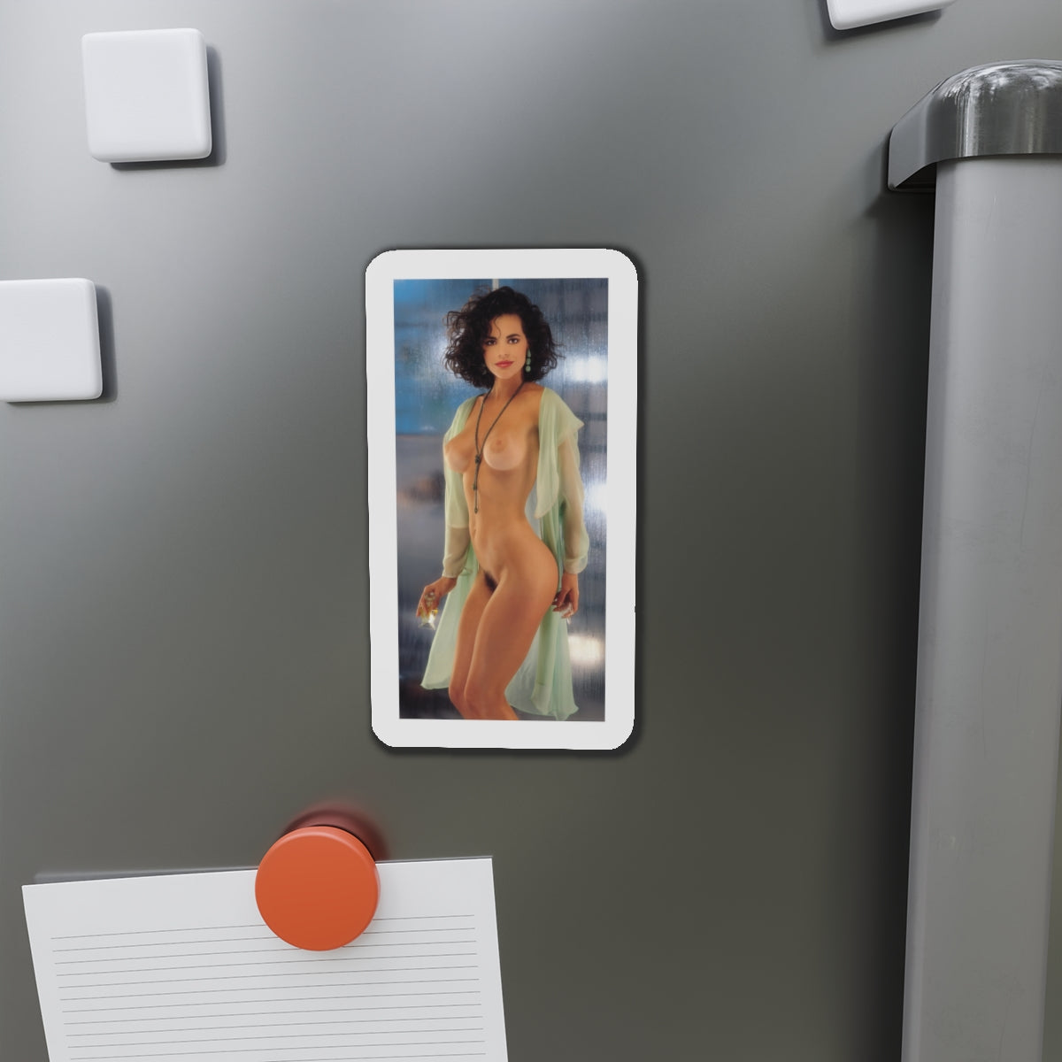 Die-Cut Magnets Playboy Playmate June 1993 Alesha Marie Oreskovich