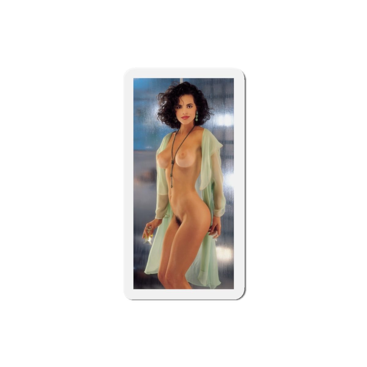 Die-Cut Magnets Playboy Playmate June 1993 Alesha Marie Oreskovich