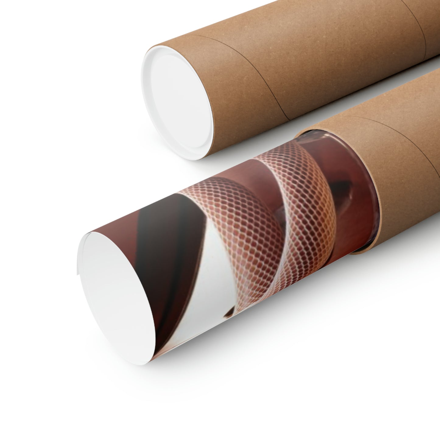 Matte Vertical Poster Playboy Playmate October 2003 Audra Lynn