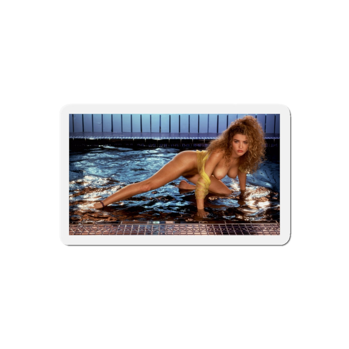 Die-Cut Magnets Playboy Playmate August 1991 Corinna Harney