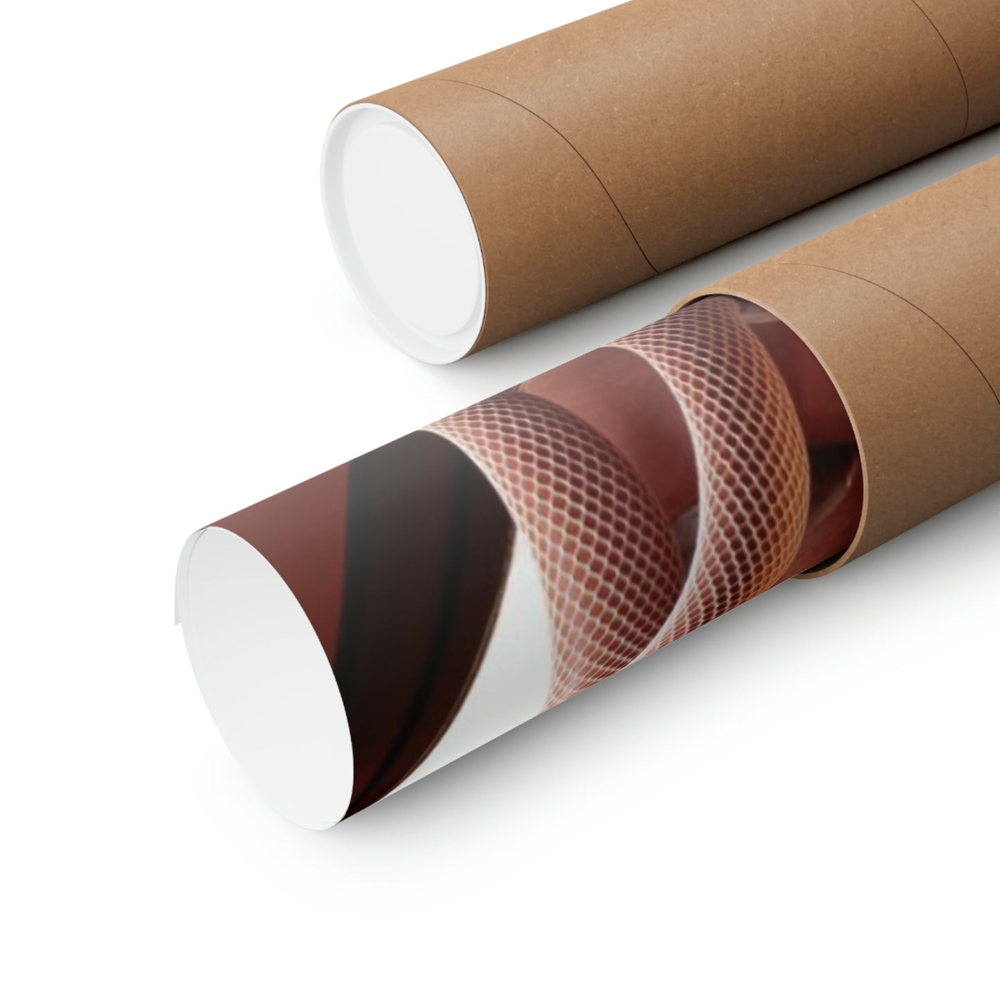 Matte Vertical Poster Playboy Playmate October 2003 Audra Lynn