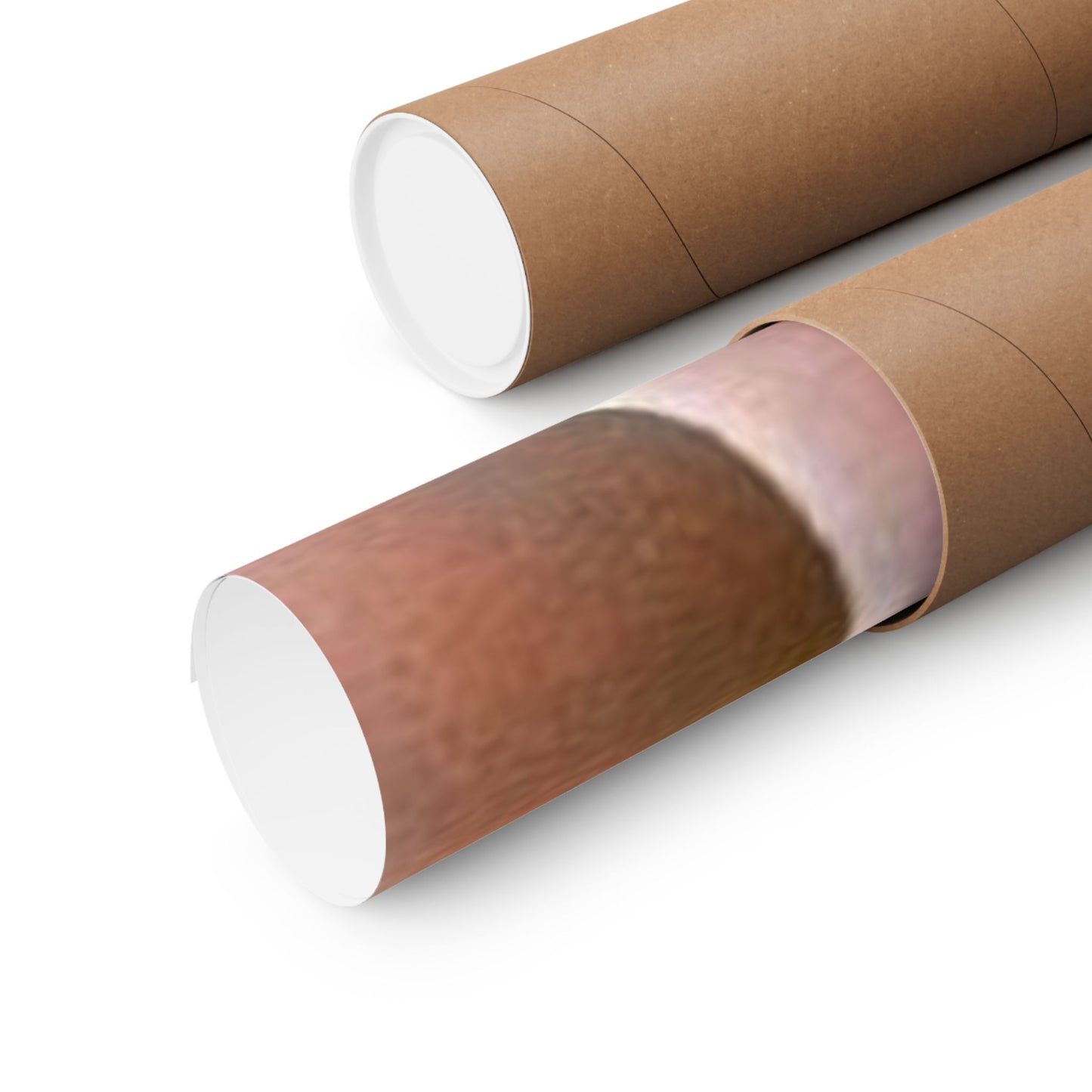 Matte Vertical Posters Anna Nicole Smith Nude