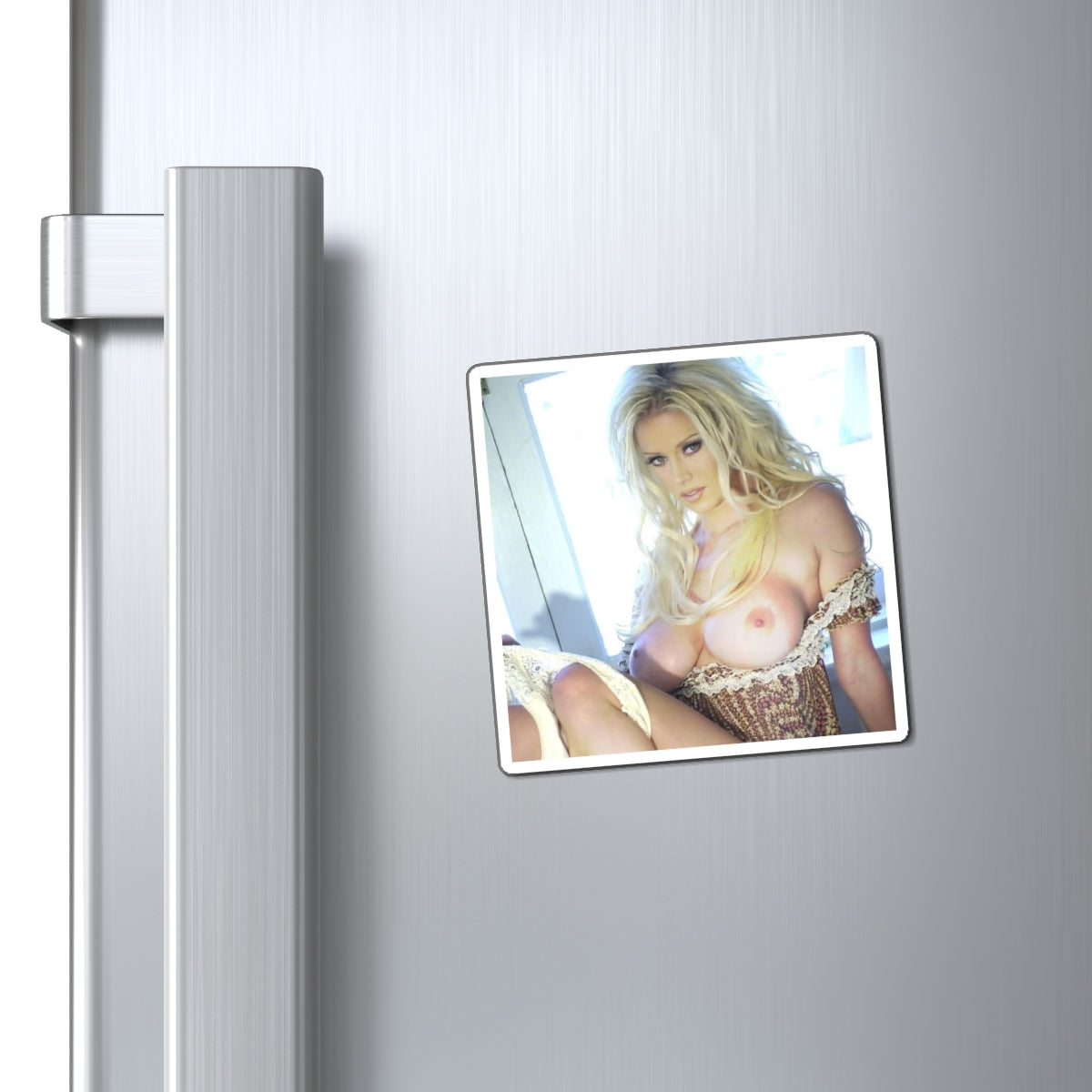 Magnets Pornstar Jenna Jameson Nude