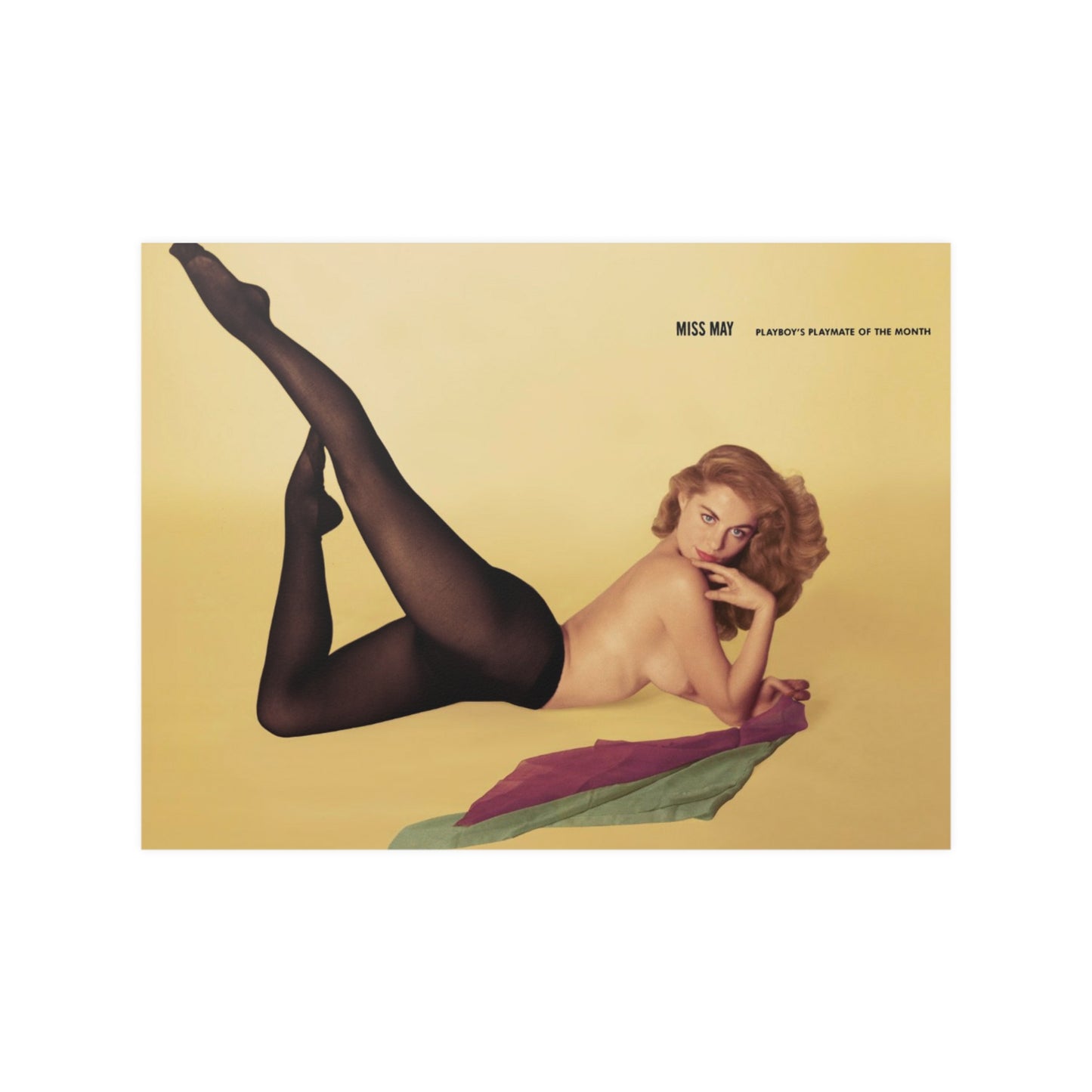 Satin Posters (210gsm) Playmate May 1955 Diane Webber