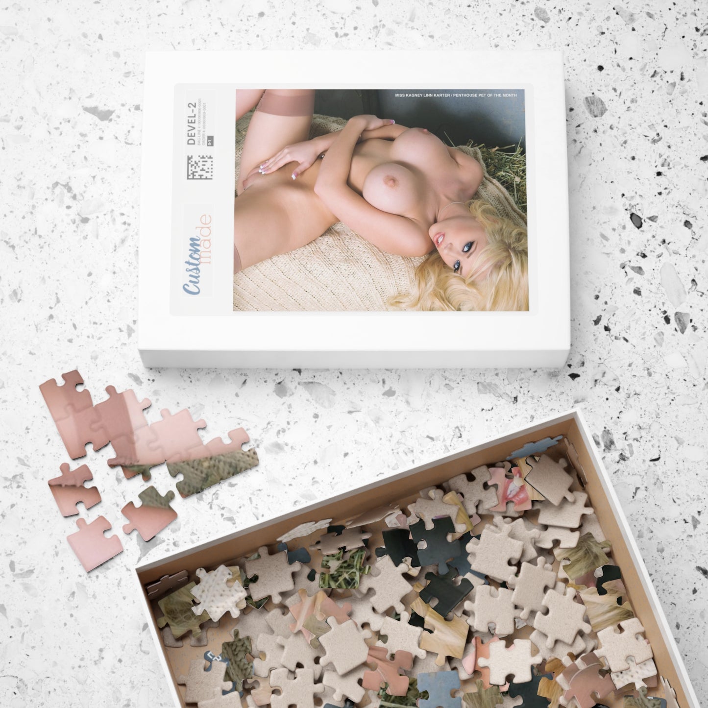 Puzzle (110, 252, 520, 1014-piece) Penthouse Pet June 2009 Kagney Linn Karter