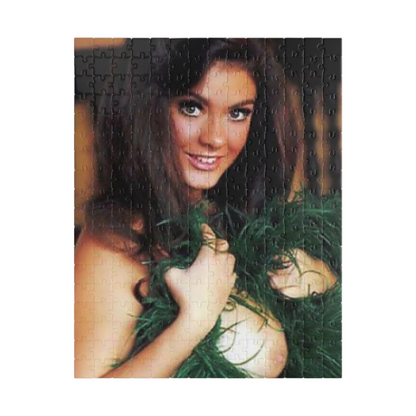 Puzzle (110, 252, 520, 1014-piece) Cynthia Myers Nude