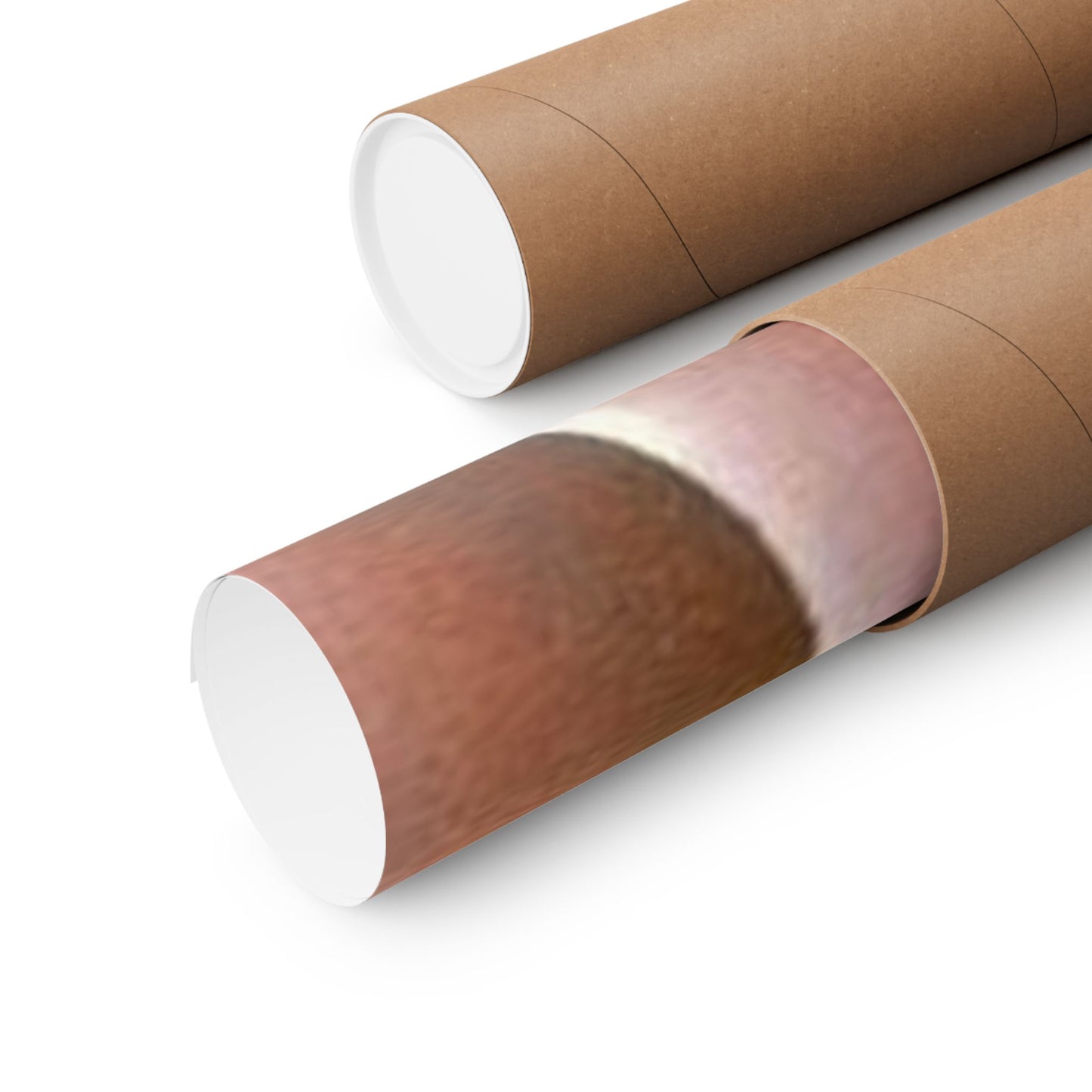 Matte Vertical Posters Anna Nicole Smith Nude