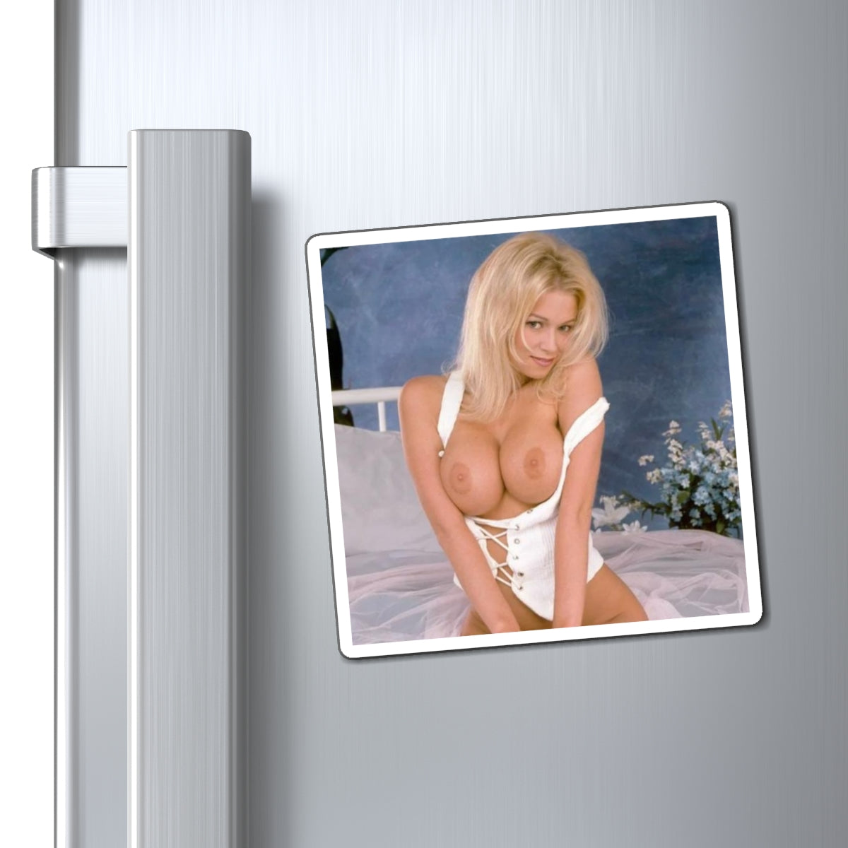 Magnets Pornstar Jenna Jameson Nude