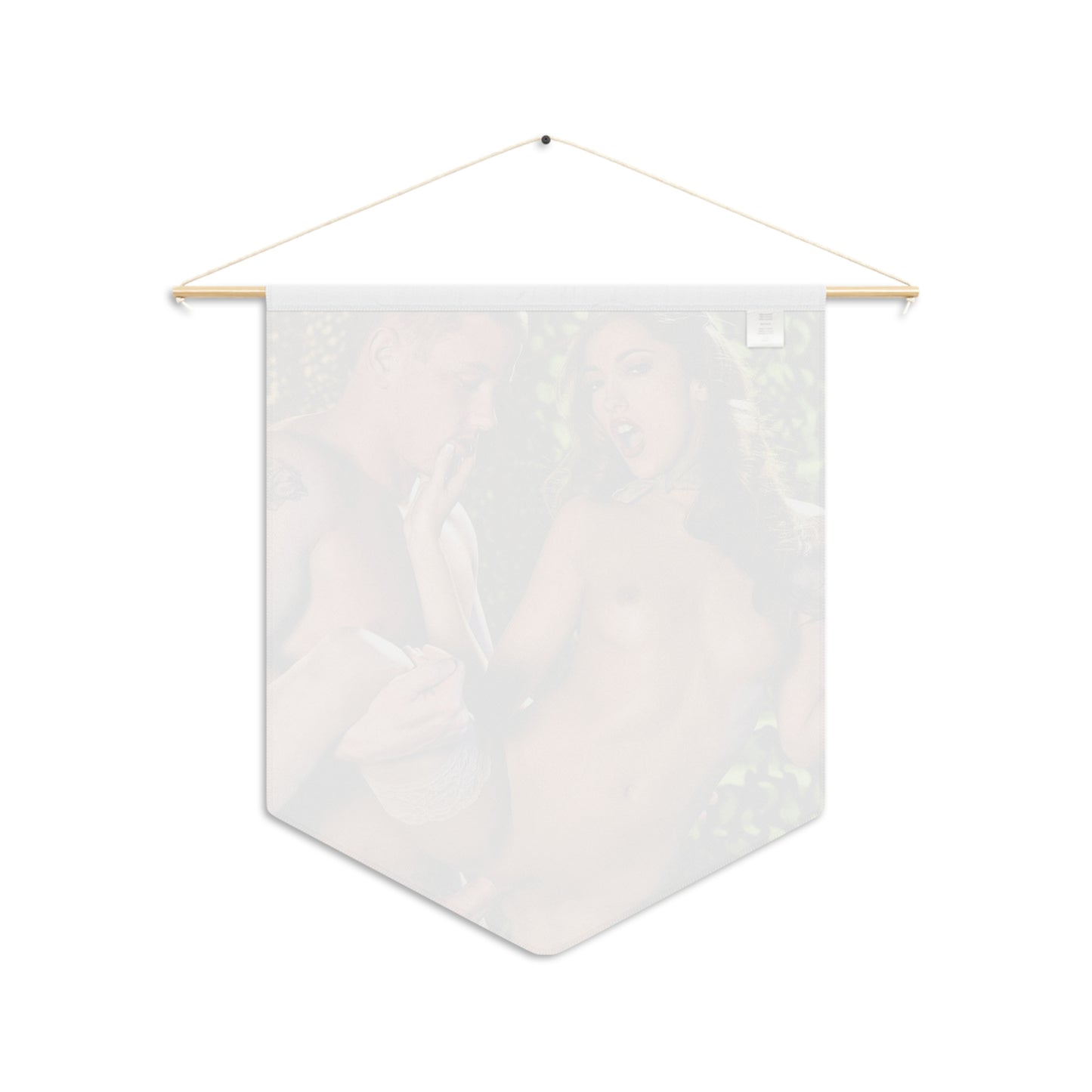 Pennant Jenna Haze Nude Fucking