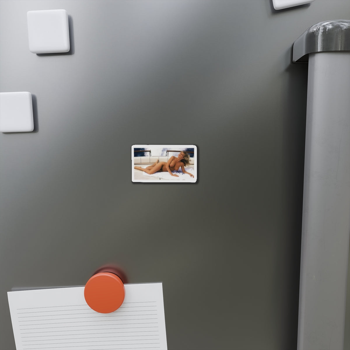 Die-Cut Magnets Traci Lords Nude